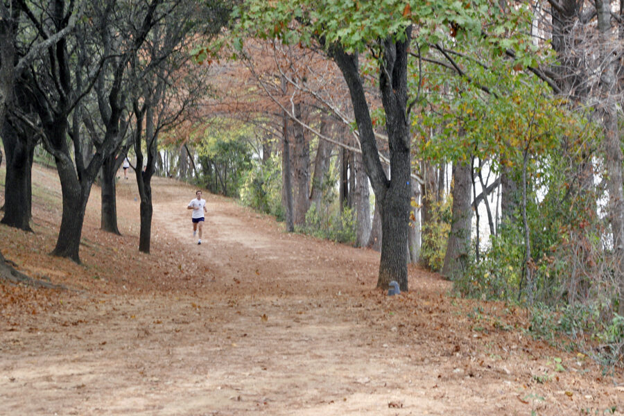 austin - lady bird lake