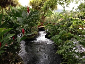 Tabacon Hot Springs in Costa Rica