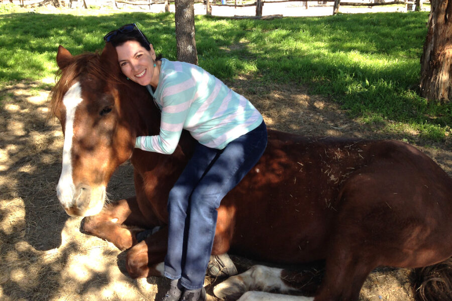 viajes - bandera texas