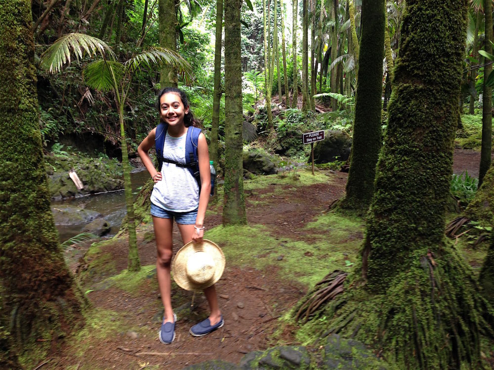 big island, hawái - hilo