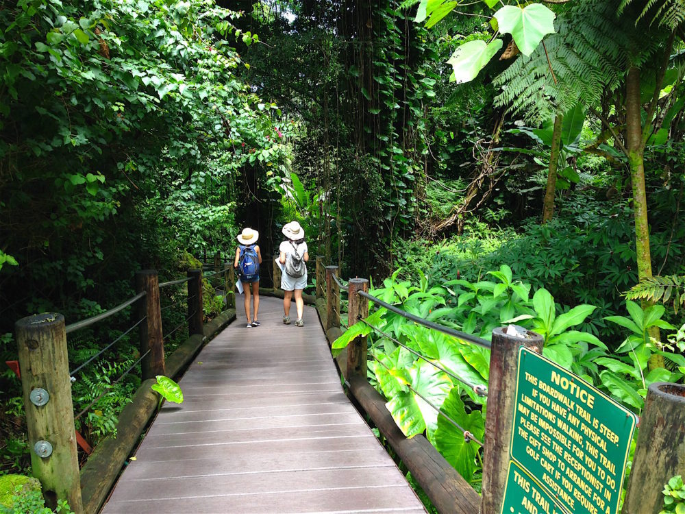 big island, hawái - hilo